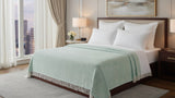 Neatly made bed with a light green throw blanket in a well-lit bedroom.